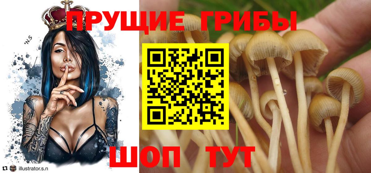 Галлюциногенные грибы MAGIC MUSHROOMS  Апрелевка 