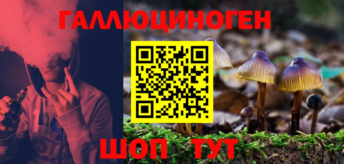 Псилоцибиновые грибы MAGIC MUSHROOMS Апрелевка