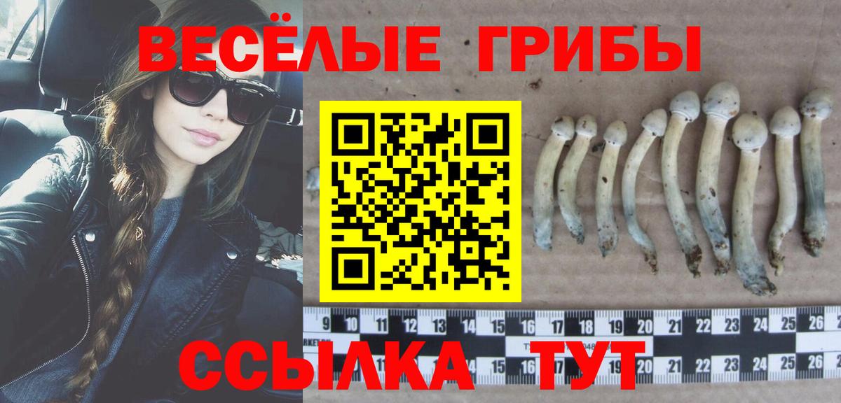 Псилоцибиновые грибы ЛСД  Вход с VPN  Апрелевка 