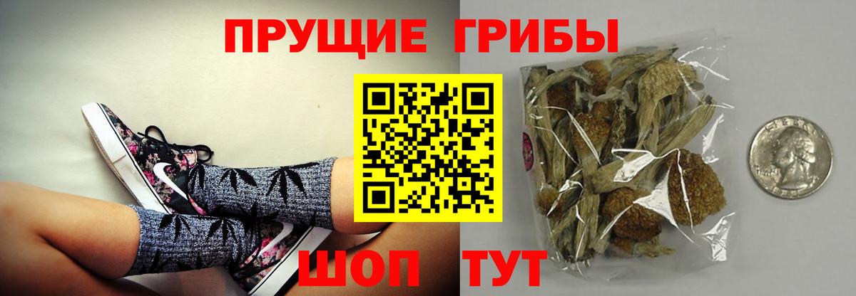 Галлюциногенные грибы мицелий Апрелевка